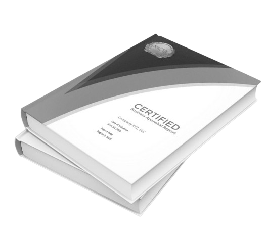 Professional formal business valuation reports in Michigan